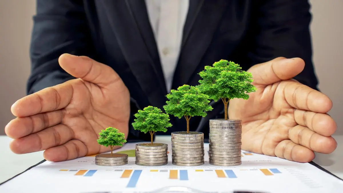 Develop Financial Models Forecasts and Budgets